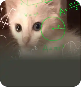 Conheça as Aero possibilidades pra sua carreira